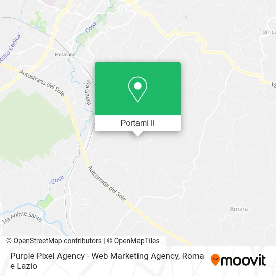 Mappa Purple Pixel Agency - Web Marketing Agency
