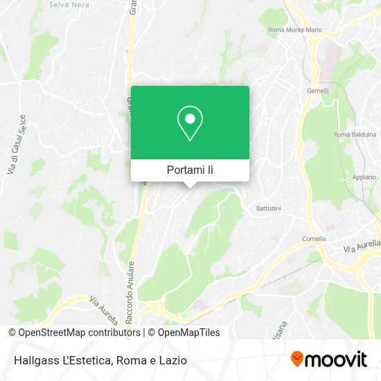 Mappa Hallgass L'Estetica