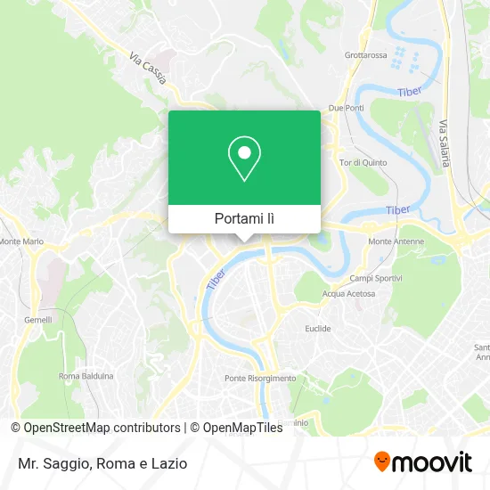 Mappa Mr. Saggio