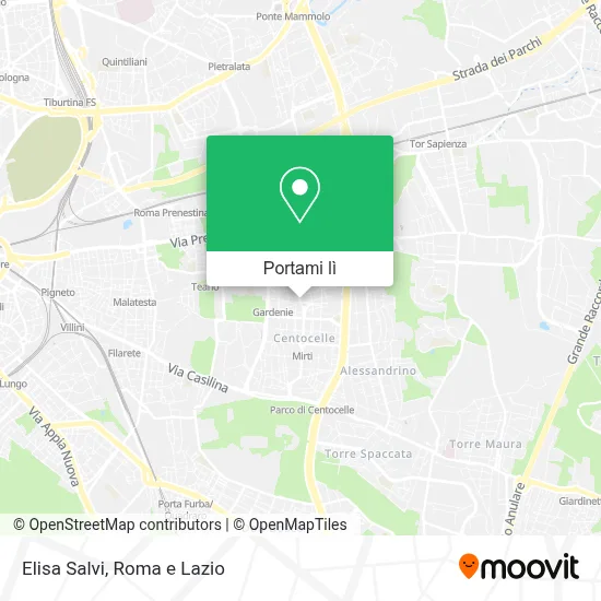 Mappa Elisa Salvi