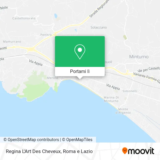 Mappa Regina L'Art Des Cheveux
