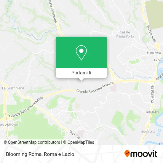 Mappa Blooming Roma