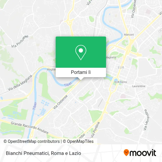 Mappa Bianchi Pneumatici