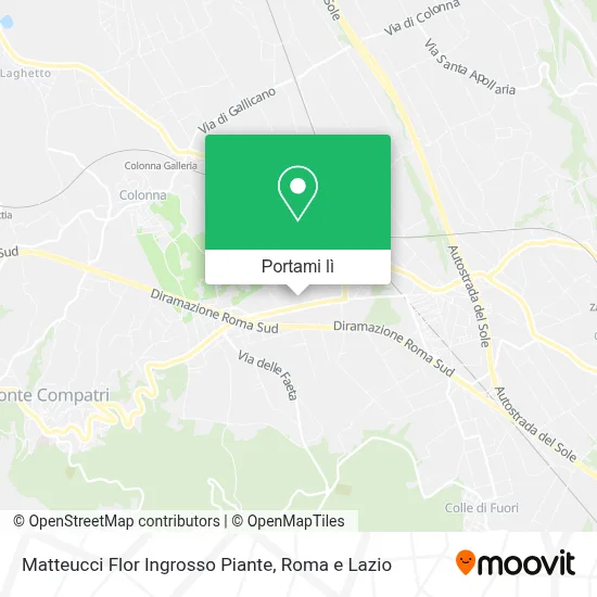 Mappa Matteucci Flor Ingrosso Piante