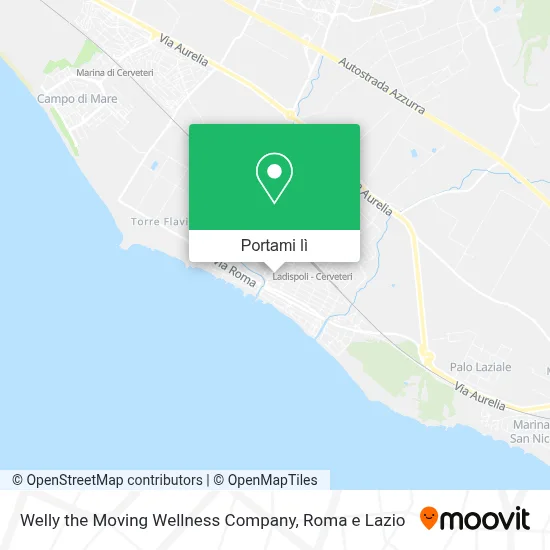 Mappa Welly the Moving Wellness Company