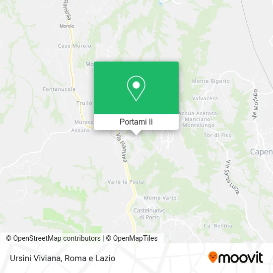 Mappa Ursini Viviana