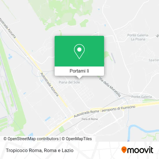 Mappa Tropicoco Roma