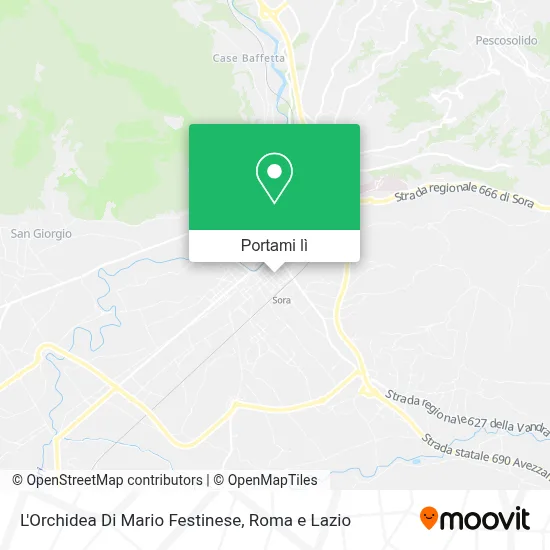 Mappa L'Orchidea Di Mario Festinese