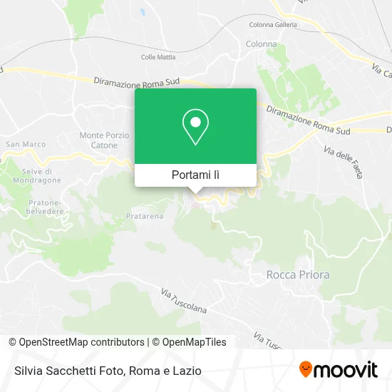 Mappa Silvia Sacchetti Foto