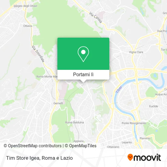 Mappa Tim Store Igea