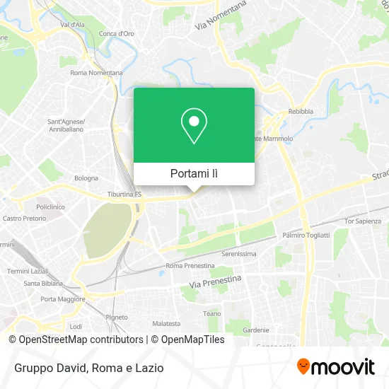 Mappa Gruppo David