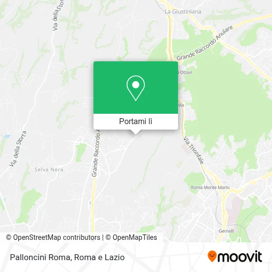 Mappa Palloncini Roma