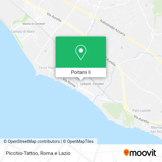 Mappa Picchio-Tattoo