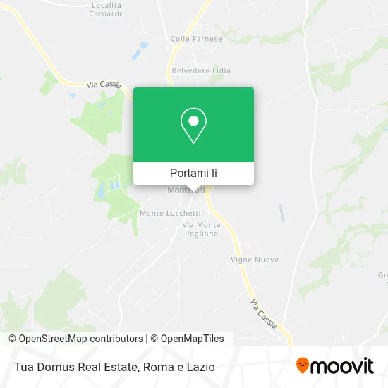 Mappa Tua Domus Real Estate