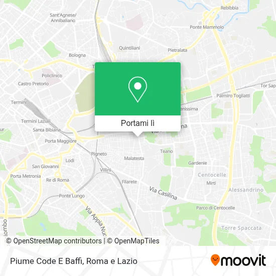 Mappa Piume Code E Baffi