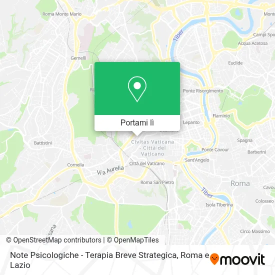 Mappa Note Psicologiche - Terapia Breve Strategica