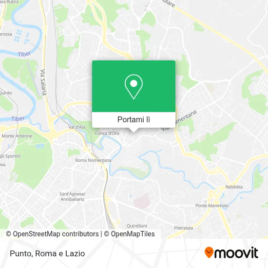 Mappa Punto