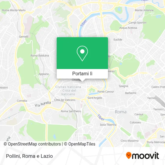 Mappa Pollini