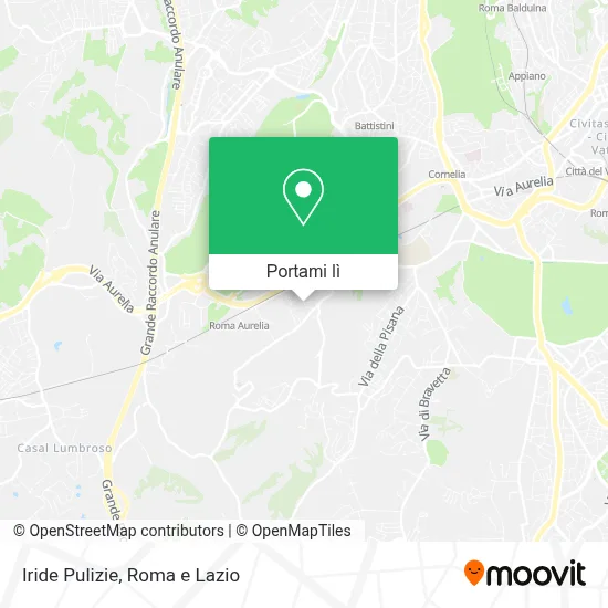 Mappa Iride Pulizie