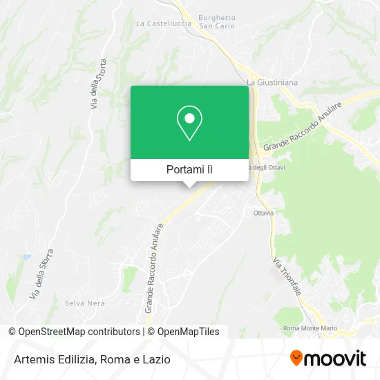 Mappa Artemis Edilizia