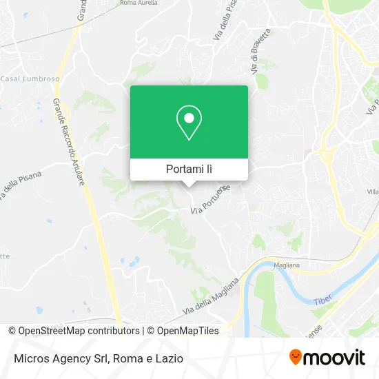 Mappa Micros Agency Srl