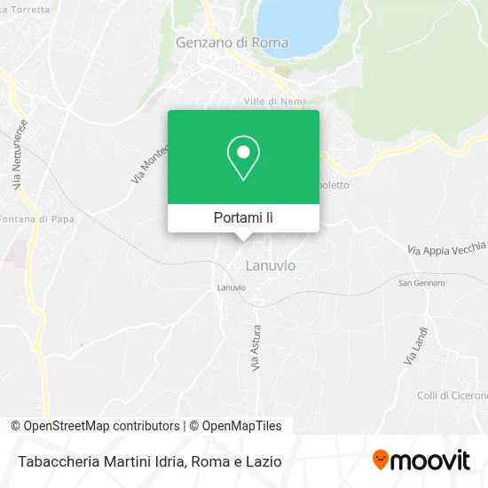Mappa Tabaccheria Martini Idria