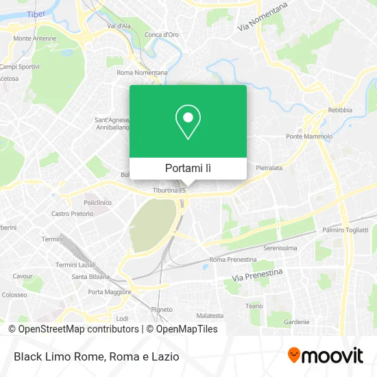 Mappa Black Limo Rome