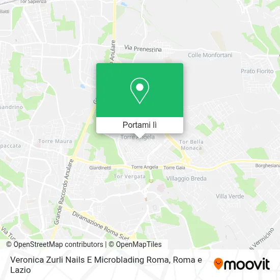Mappa Veronica Zurli Nails E Microblading Roma