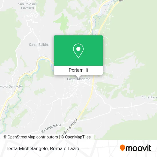 Mappa Testa Michelangelo