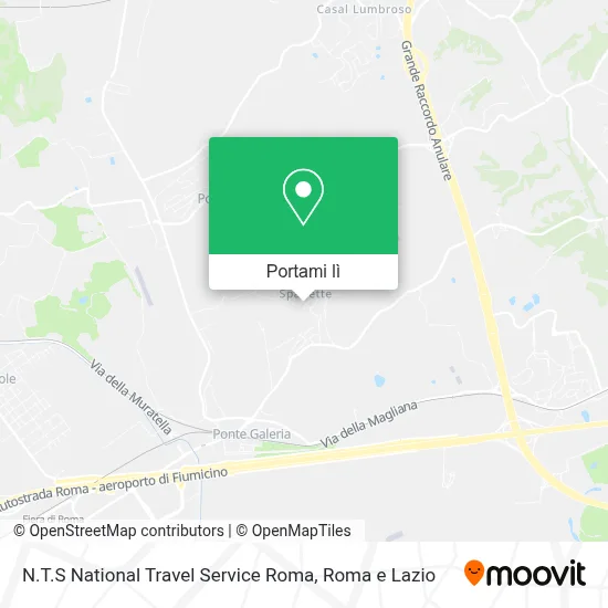 Mappa N.T.S National Travel Service Roma