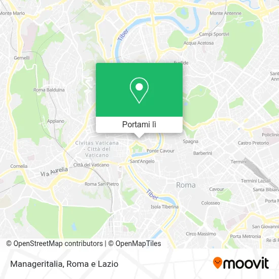 Mappa Manageritalia