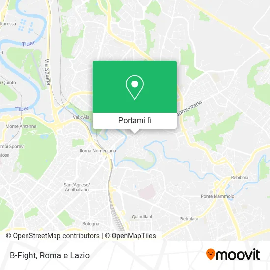 Mappa B-Fight