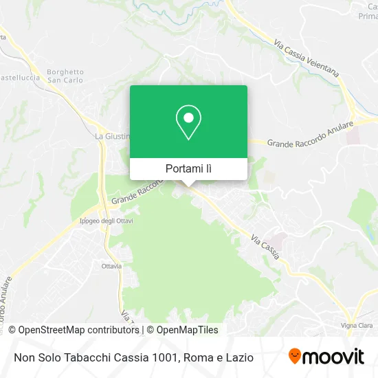 Mappa Non Solo Tabacchi Cassia 1001