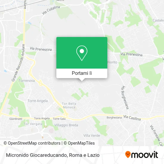Mappa Micronido Giocareducando