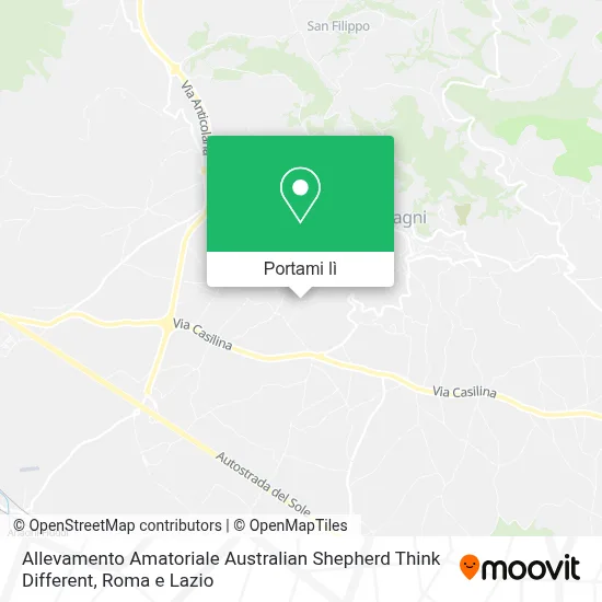 Mappa Allevamento Amatoriale Australian Shepherd Think Different