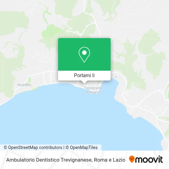 Mappa Ambulatorio Dentistico Trevignanese