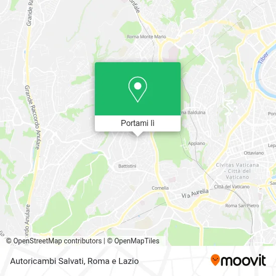 Mappa Autoricambi Salvati