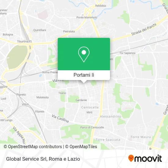 Mappa Global Service Srl