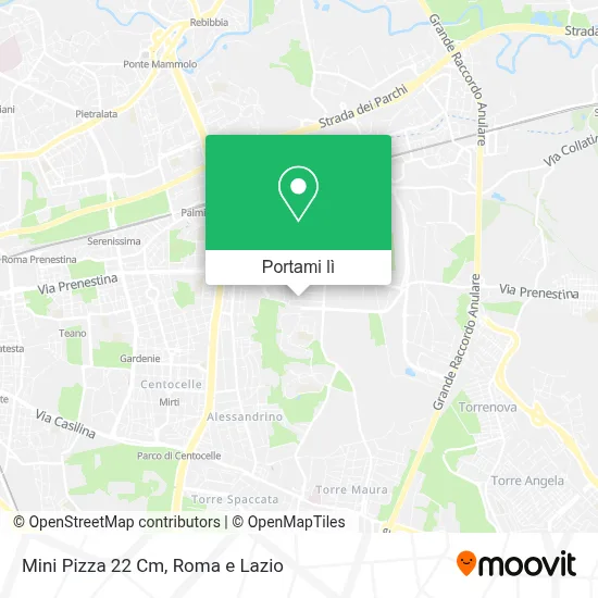 Mappa Mini Pizza 22 Cm