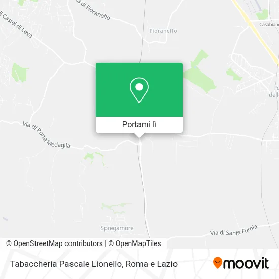 Mappa Tabaccheria Pascale Lionello