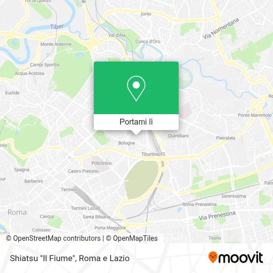 Mappa Shiatsu "Il Fiume"