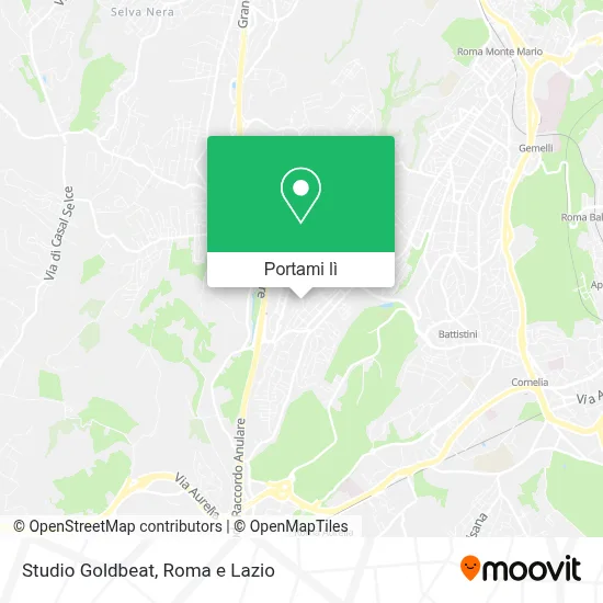 Mappa Studio Goldbeat