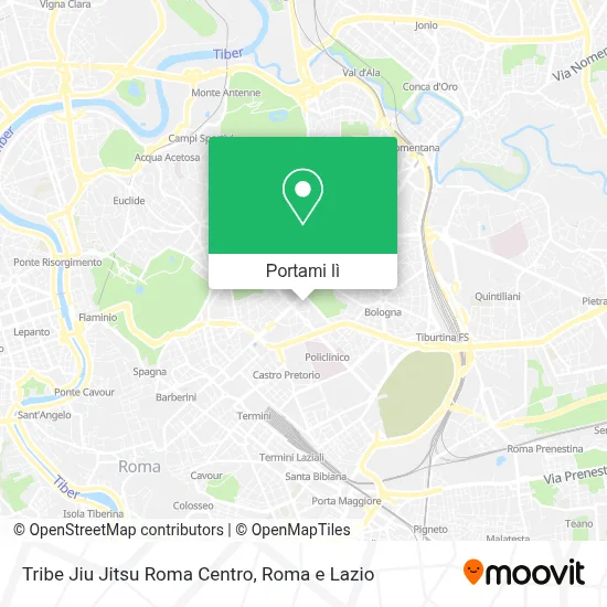 Mappa Tribe Jiu Jitsu Roma Centro