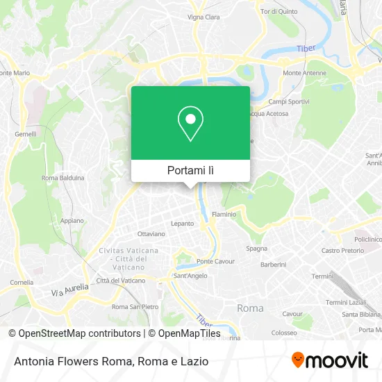Mappa Antonia Flowers Roma