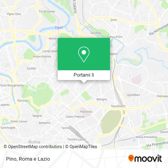 Mappa Pino