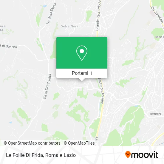 Mappa Le Follie Di Frida