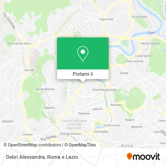 Mappa Debri Alessandra