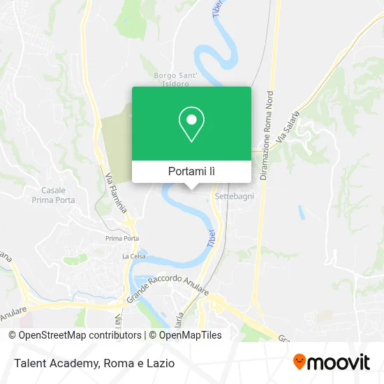 Mappa Talent Academy