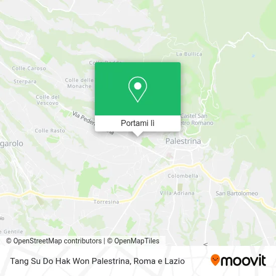 Mappa Tang Su Do  Hak Won Palestrina