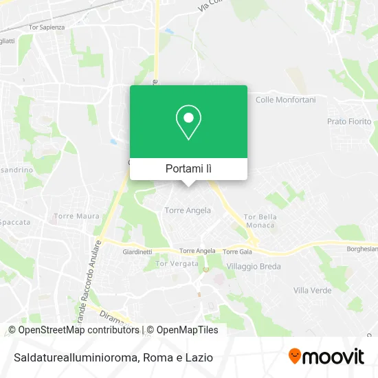 Mappa Saldaturealluminioroma